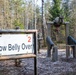 Air Assault Obstacle Course Grafenwoehr