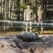 Air Assault Obstacle Course Grafenwoehr