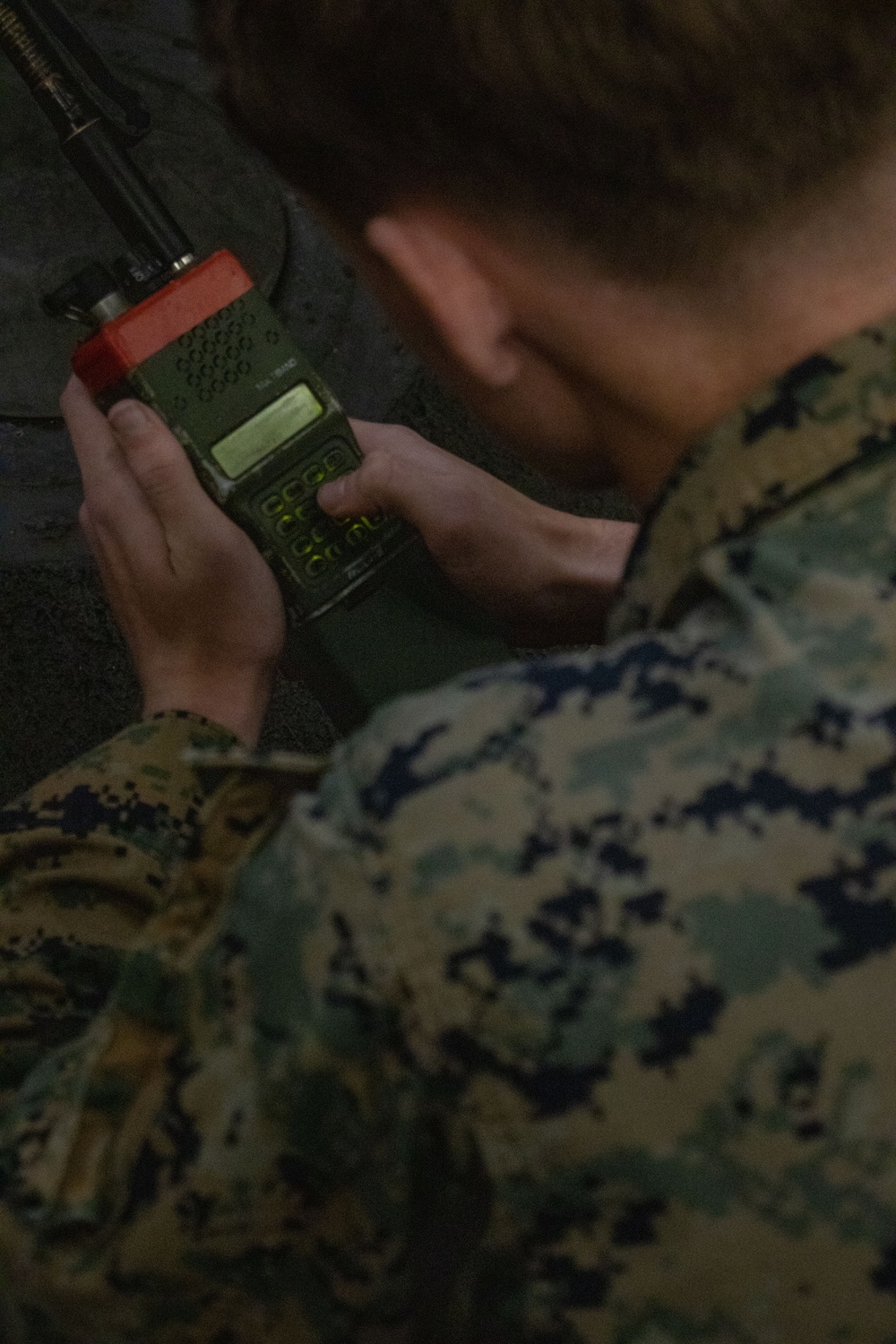 Bravo Company conducts Individual Performance Assessments