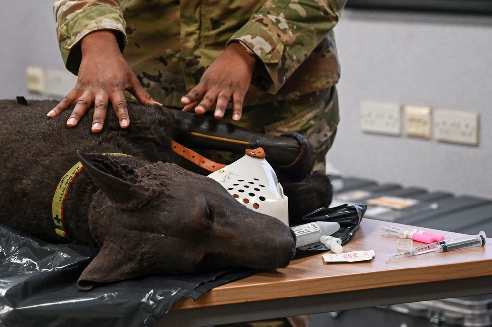 RAF Mildenhall fire department hosts K-9 TCCC training