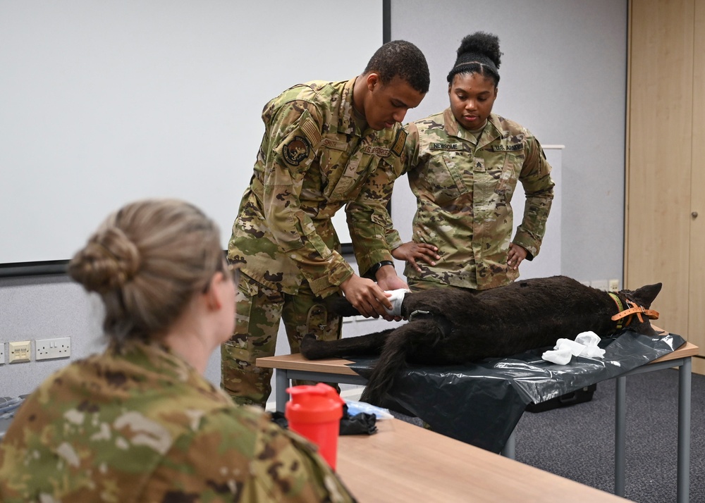 RAF Mildenhall fire department hosts K-9 TCCC training