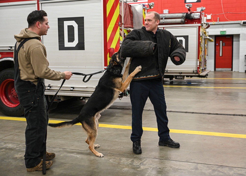 RAF Mildenhall fire department hosts K-9 TCCC training