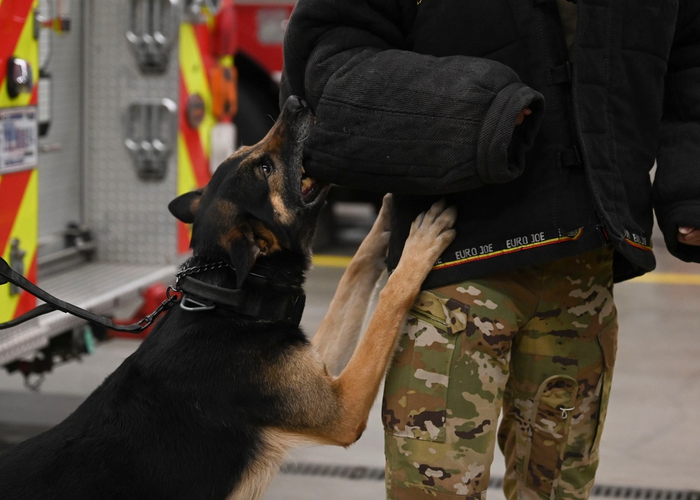 RAF Mildenhall fire department hosts K-9 TCCC training