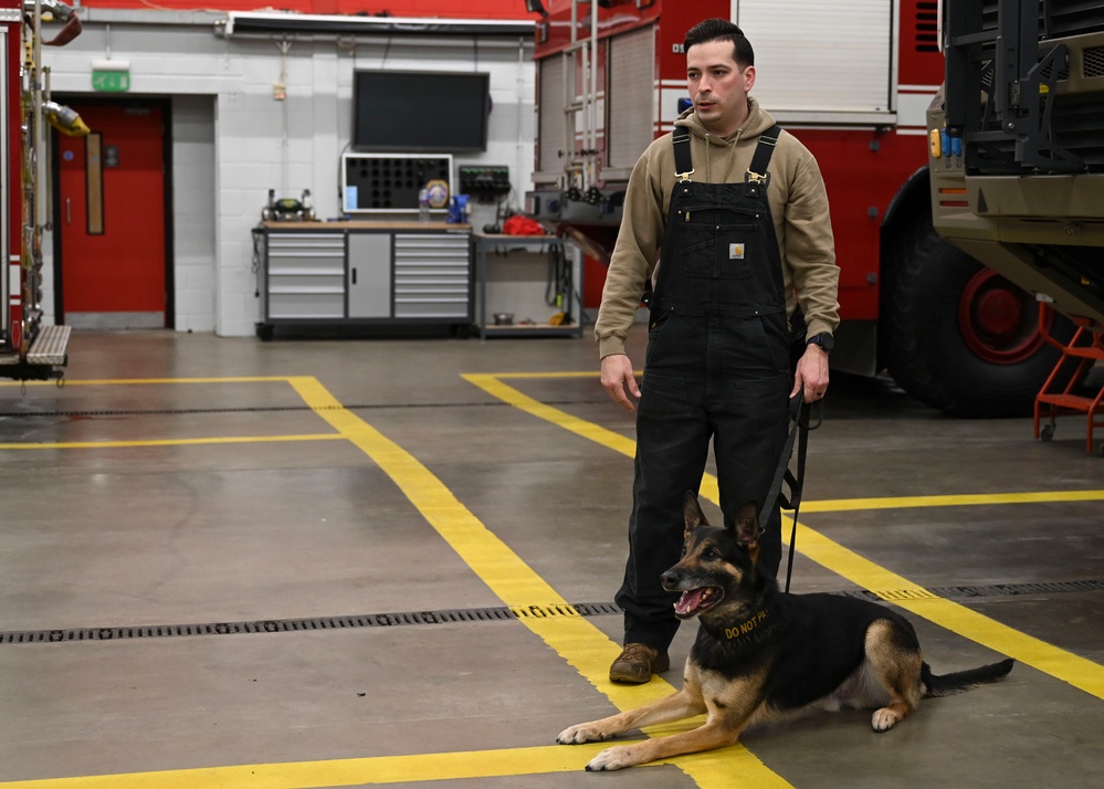 RAF Mildenhall fire department hosts K-9 TCCC training