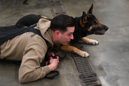 RAF Mildenhall fire department hosts K-9 TCCC training
