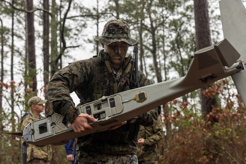 Littoral Exercise I