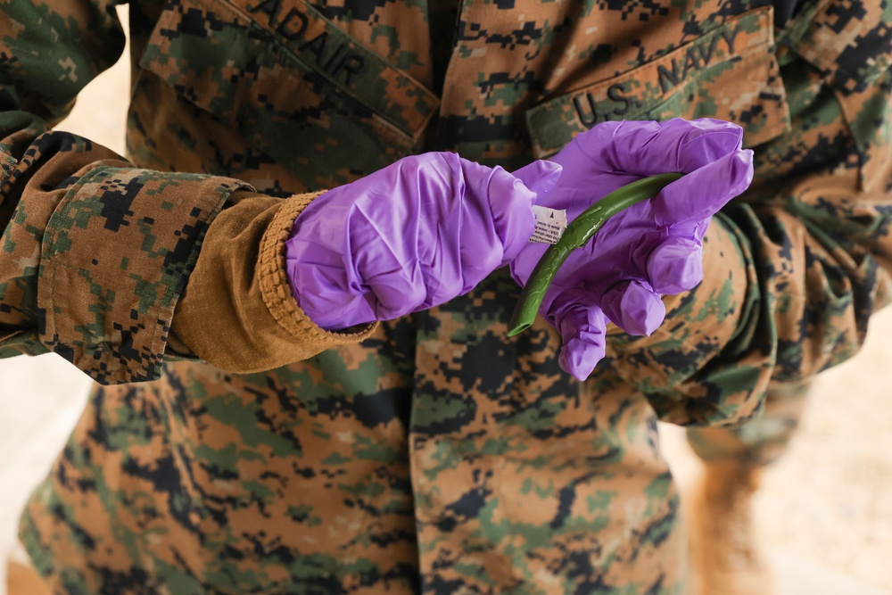 Warrior Shield 24 | III MEF Marines participate in TCCC training