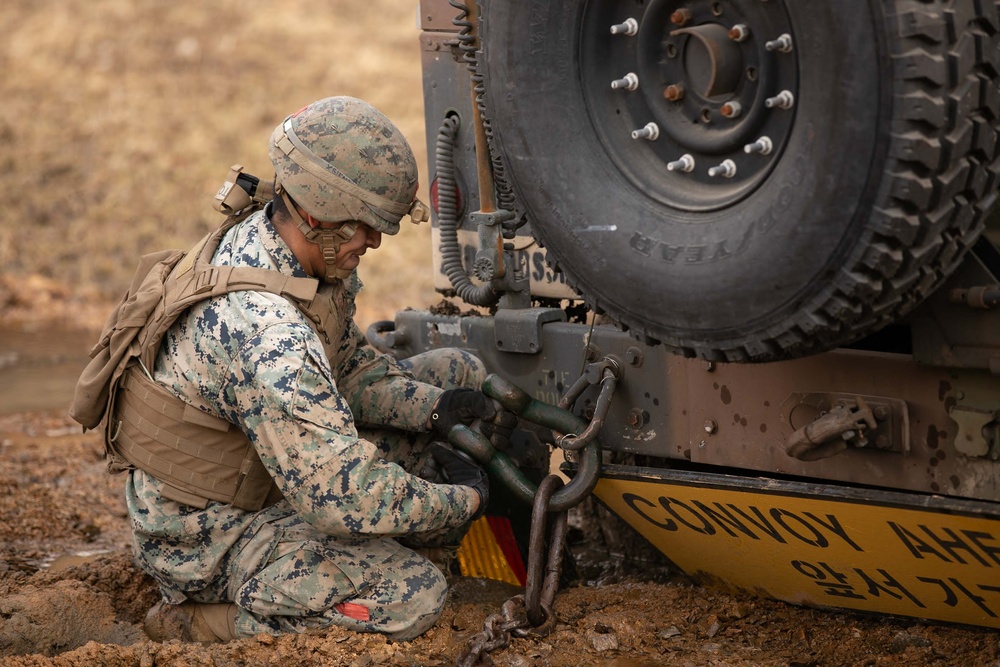 Freedom Shield 24, combined training