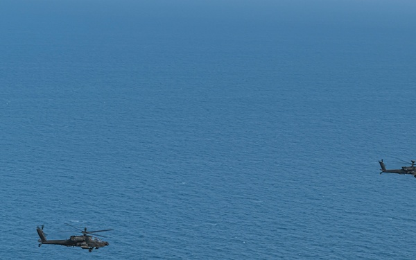 Freedom Shield 24, Apache live fire