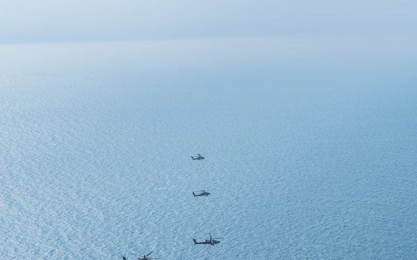 Freedom Shield 24, Apache live fire