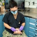 USS Ronald Reagan (CVN 76) Sailors conduct a dental examination