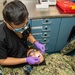 USS Ronald Reagan (CVN 76) Sailors conduct a dental examination