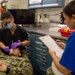 USS Ronald Reagan (CVN 76) Sailors conduct a dental examination