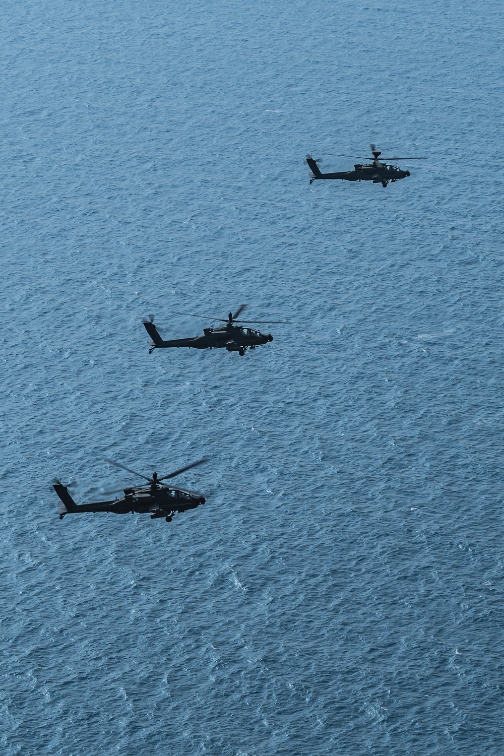 Freedom Shield 24, Apache live fire