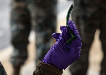 Warrior Shield 24 | III MEF participates in TCCC Training