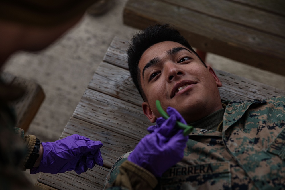 Warrior Shield 24 | III MEF participates in TCCC Training