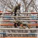 Warrior Shield 24 | 3rd MLG Marines participate in Air Assault Course