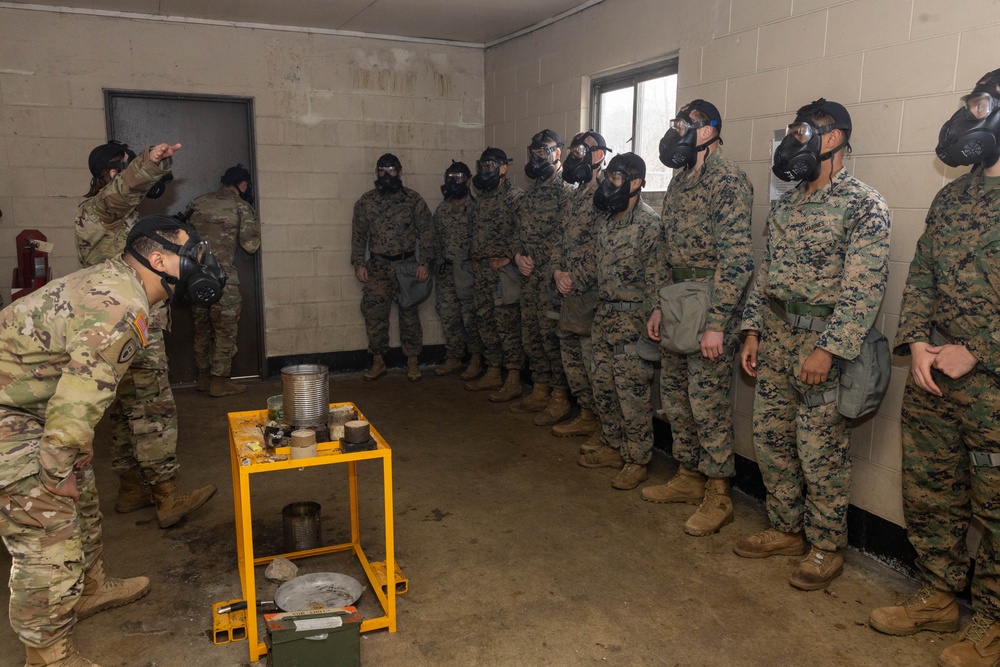 Warrior Shield 24 | 3rd MLG, U.S. Soldiers participate in gas chamber qualification course
