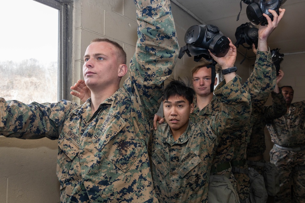 Warrior Shield 24 | 3rd MLG, U.S. Soldiers participate in gas chamber qualification course