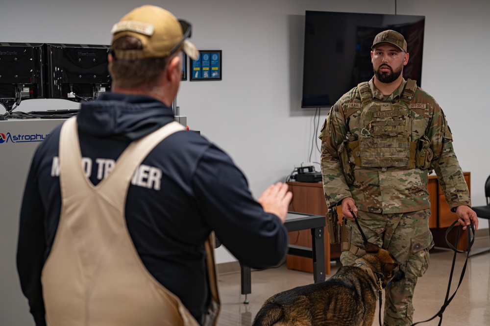 MacDill's Canine Guardians: The Unseen Shield