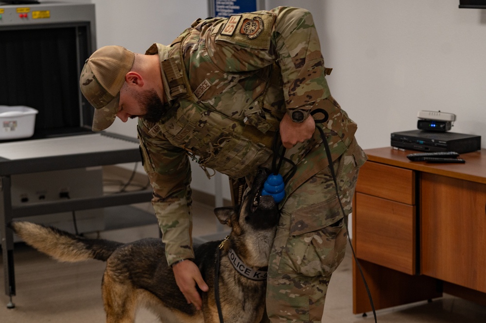 MacDill's Canine Guardians: The Unseen Shield
