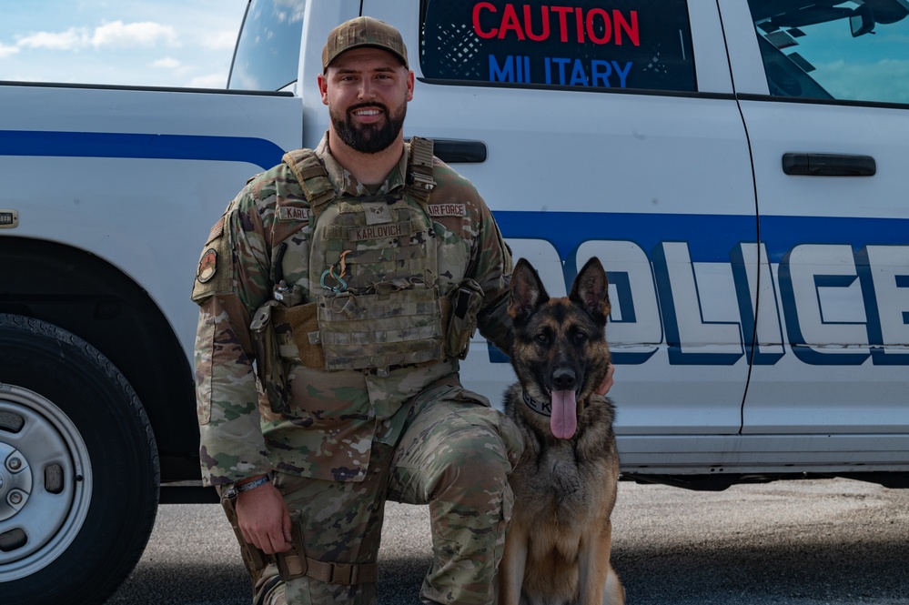 MacDill's Canine Guardians: The Unseen Shield