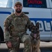 MacDill's Canine Guardians: The Unseen Shield