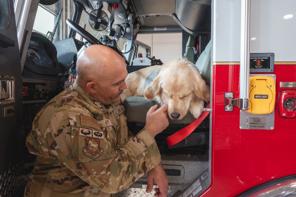 Thin Line Service Dogs visit 167th Airlift Wing