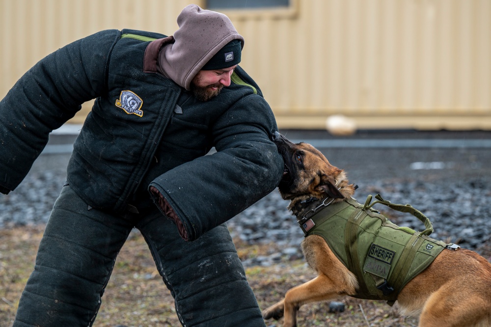 92nd SFS hosts interagency military working dog training at FAFB