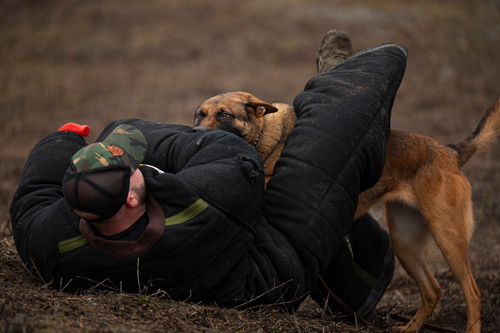 92nd SFS hosts interagency military working dog training at FAFB