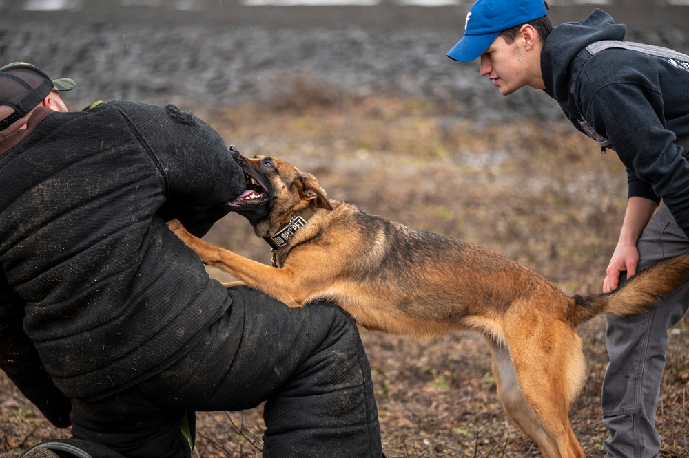 92nd SFS hosts interagency military working dog training at FAFB