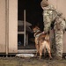 92nd SFS hosts interagency military working dog training at FAFB