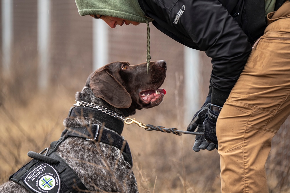 92nd SFS hosts interagency military working dog training at FAFB