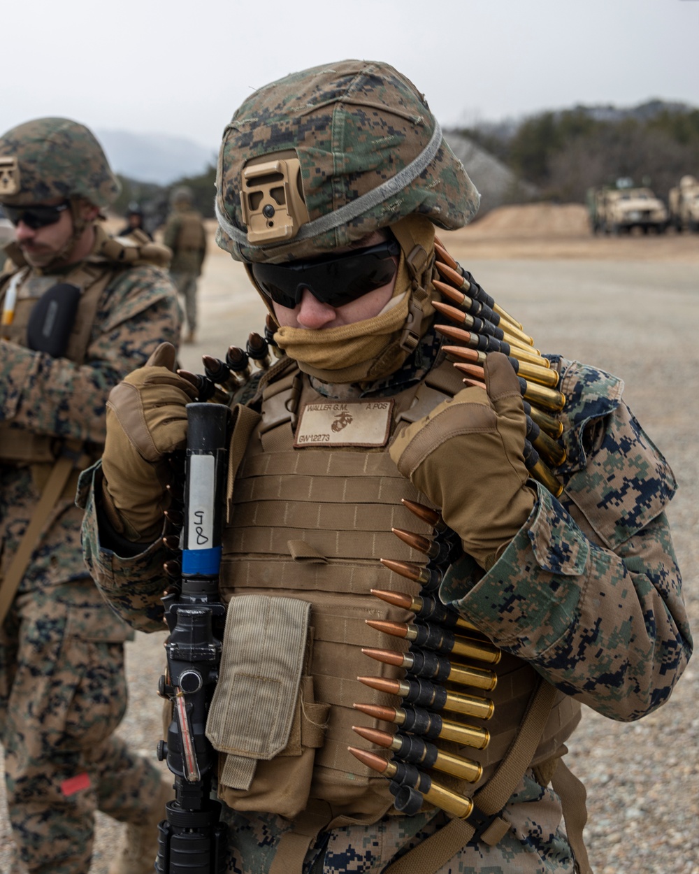 Warrior Shield 24 | 3rd MLG conducts Heavy Machine Gun Live Fire Range