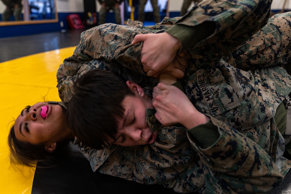 Warrior Shield 24 | MAG-36 conducts MCMAP Training