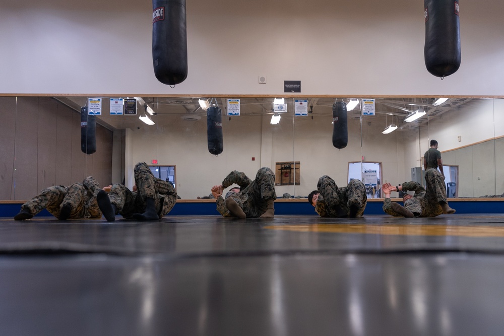 Warrior Shield 24 | MAG-36 conducts MCMAP Training