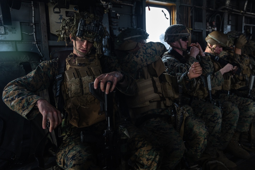 Warrior Shield 24 | HMH-466 trains with 2nd Battalion, 8th Marines