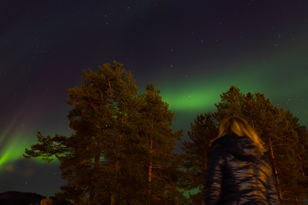 II MEF observes the northern lights