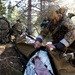 NATO Allies participate in a joint tactical combat and prolonged casualty care exercise during Trojan Footprint 24