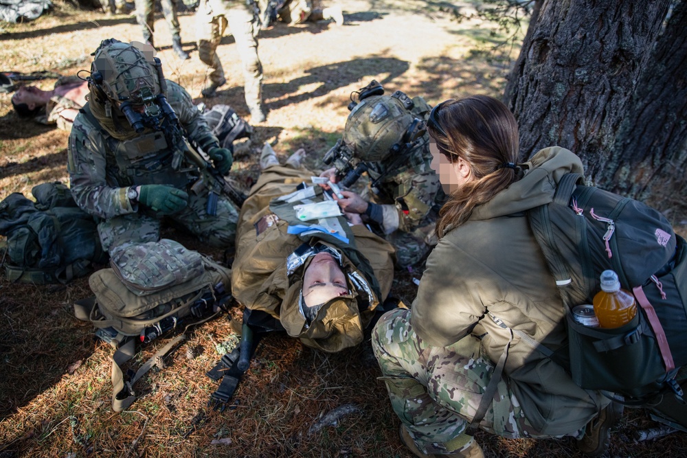 NATO Allies participate in a joint tactical combat and prolonged casualty care exercise during Trojan Footprint 24