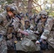 NATO Allies participate in a joint tactical combat and prolonged casualty care exercise during Trojan Footprint 24