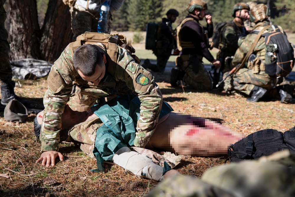 NATO Allies participate in a joint tactical combat and prolonged casualty care exercise during Trojan Footprint 24