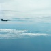 AI agents pilot XQ-58A Valkyrie