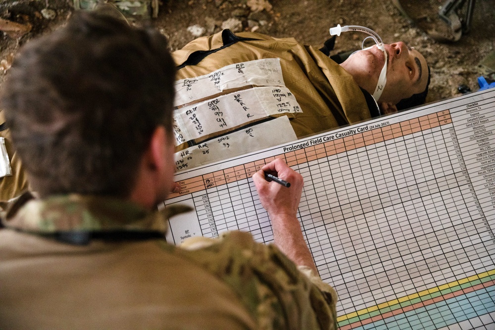 NATO Allies participate in a joint tactical combat and prolonged casualty care exercise during Trojan Footprint 24