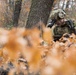 NATO Allies participate in a joint tactical combat and prolonged casualty care exercise during Trojan Footprint 24