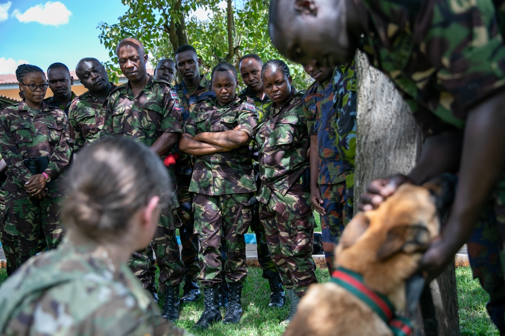 Justified Accord 2024 participants conduct a veterinary exchange in Kenya