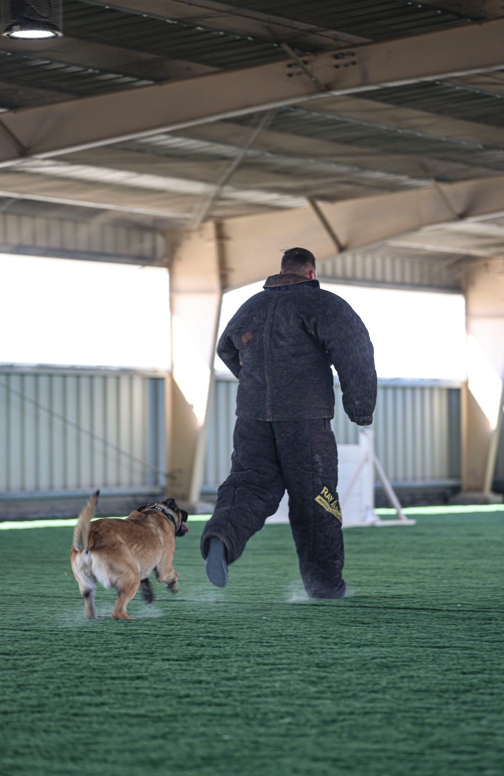 82CAB Participate in K9 Demonstration