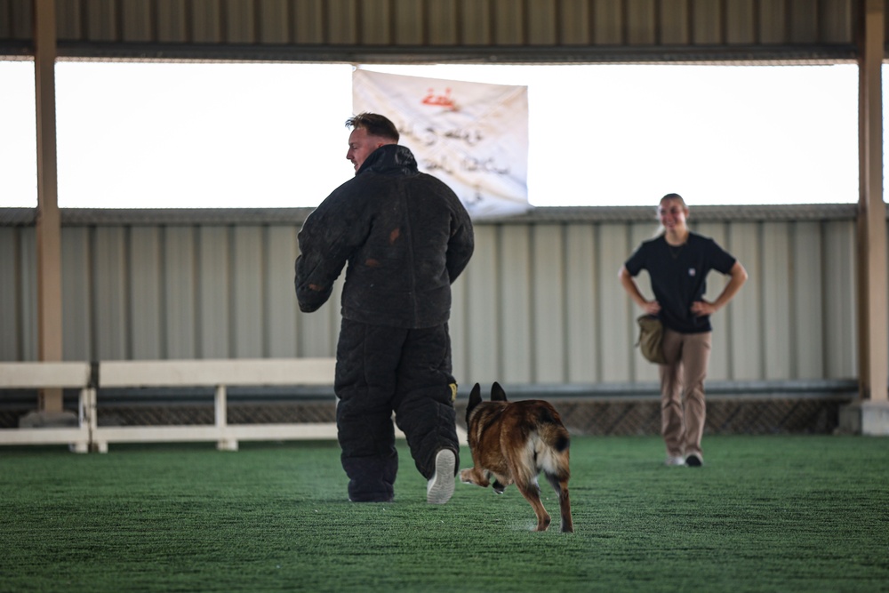 82CAB Participate in K9 Demonstration