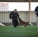 82CAB Participate in K9 Demonstration