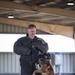 82CAB Participate in K9 Demonstration